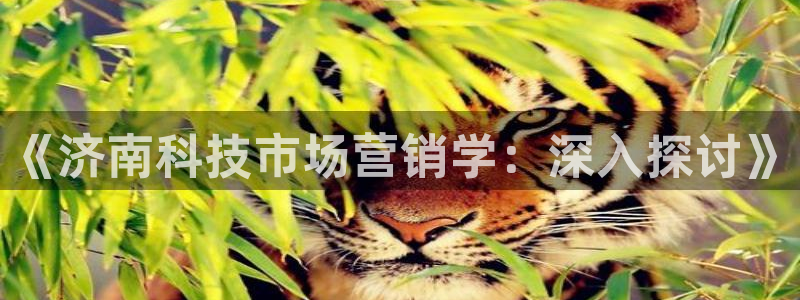 金年会官方网站入口登录手机版下载