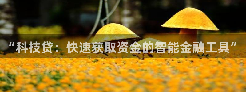 金年会网站可靠吗