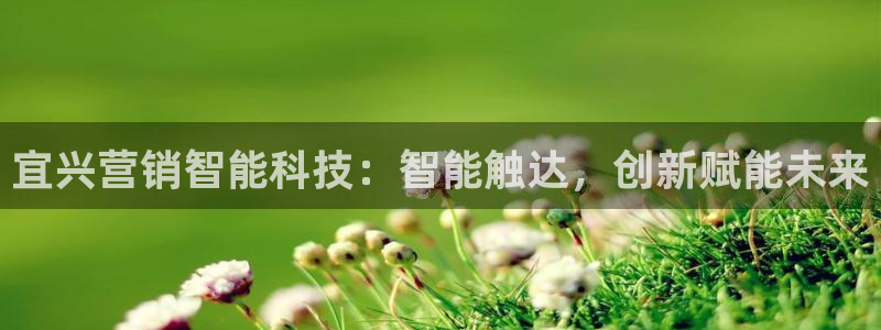 金年会体育网站