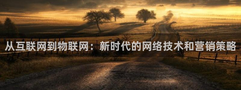金年会网赌靠普吗