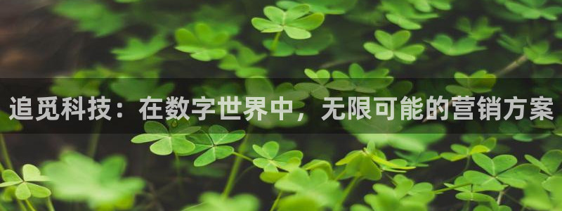 金年会下载官方app