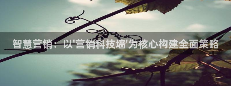 金年会官方网站入口登录网址是什么