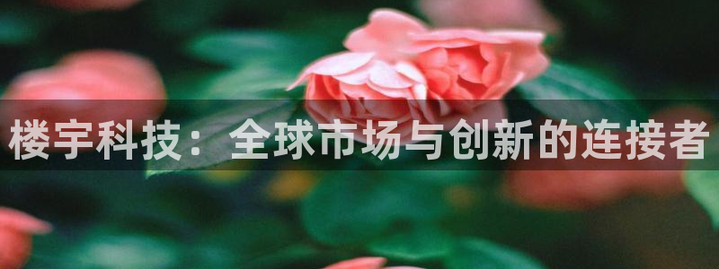 金年会金字招牌登录入