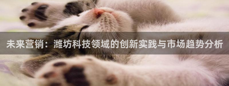 金年会是什么平台：未
