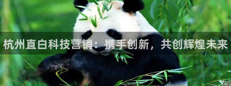 金年会vip网页版在线登录入口下载