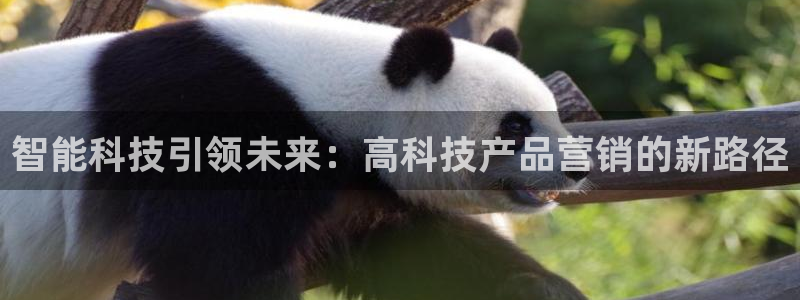 金年会官方网站首页入口下载
