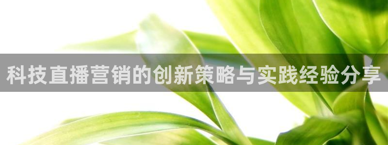 金年会官方网站入口登录网址是什么