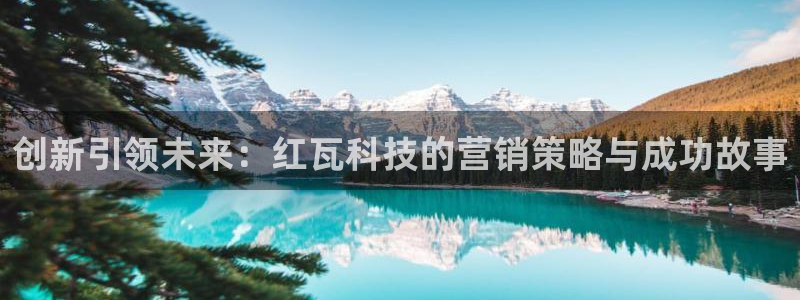 金年会体育手机app下载官网