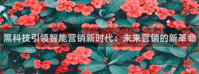 金年会手机版官方下载