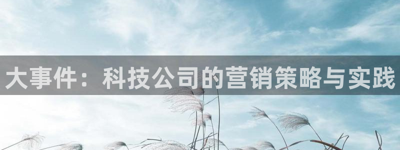 金年会·会官方入口登