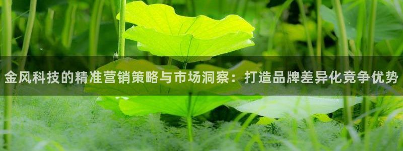 金年会体育app下载官网