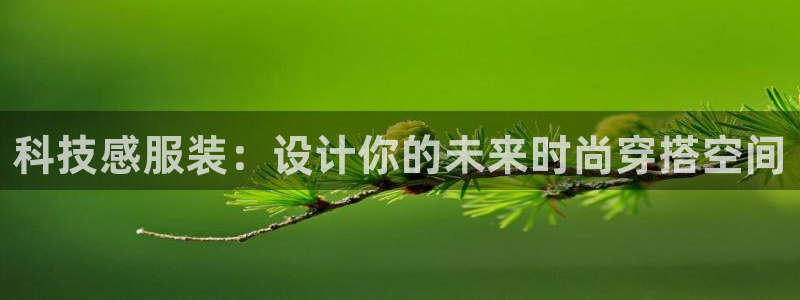 金年会官方网站入口登录网址