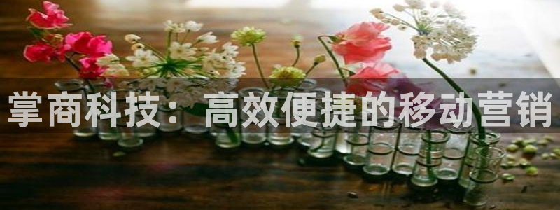 金年会官方在线入口网站