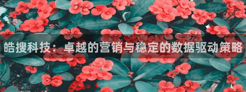 金年会APP官网下载