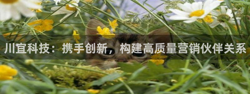 金年会体育官方app下载