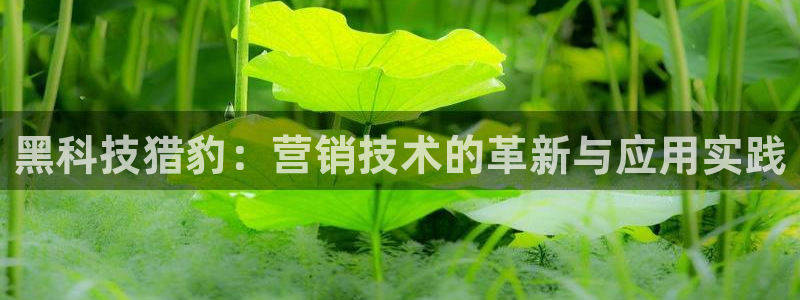 金年会体育官方app下载安卓