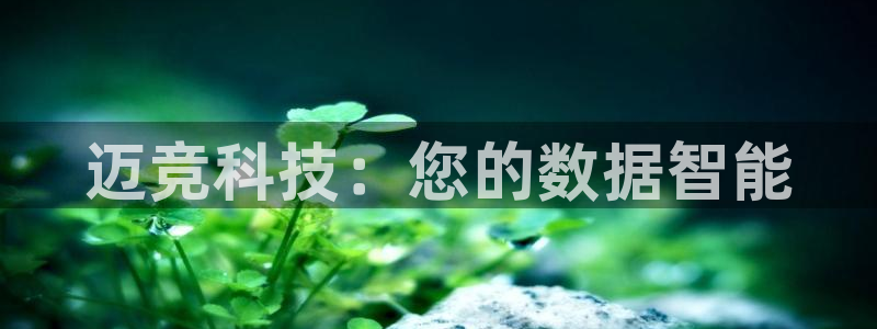 金年会VIP：迈竞科
