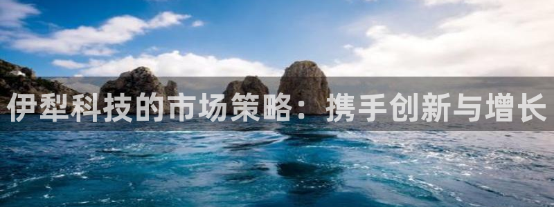 金年会提现不了