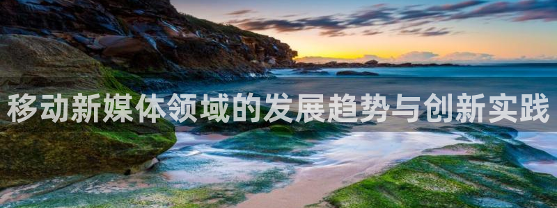 金年会体育app官网下载