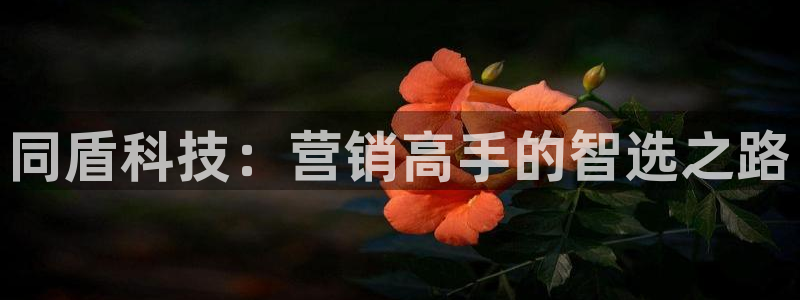 金年会官方体育