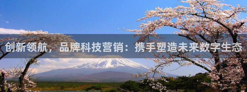 金年会登录网址是什么