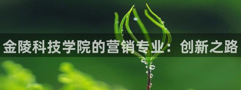 金年会app下载官网登录