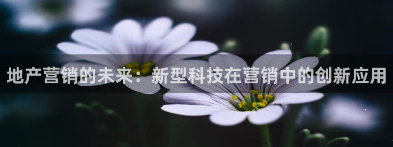 金年会官方在线登录