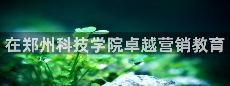 金年会登录网址是什么