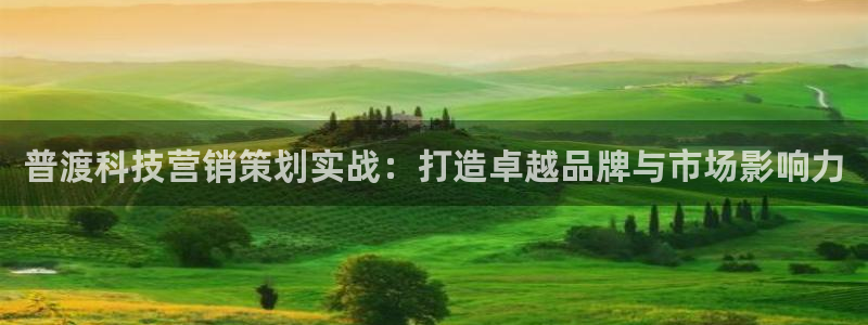 金年会平台官网下载