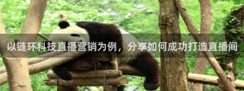 金年会体育APP官方网站