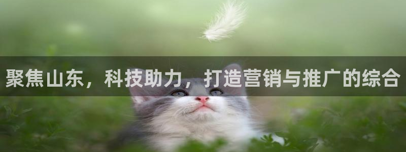 金年会 金字招牌诚信至上在线