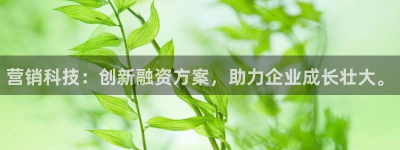 金年会金字招牌网址
