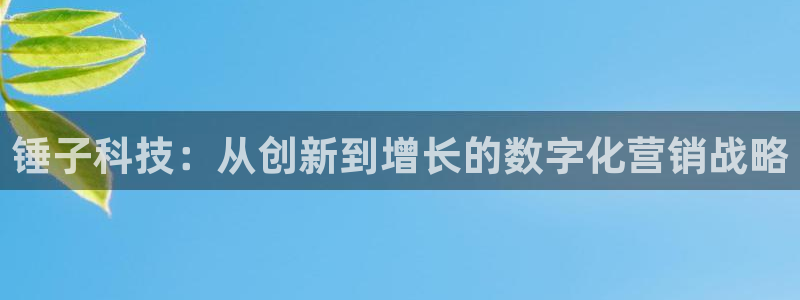 金年会体育app是干嘛的