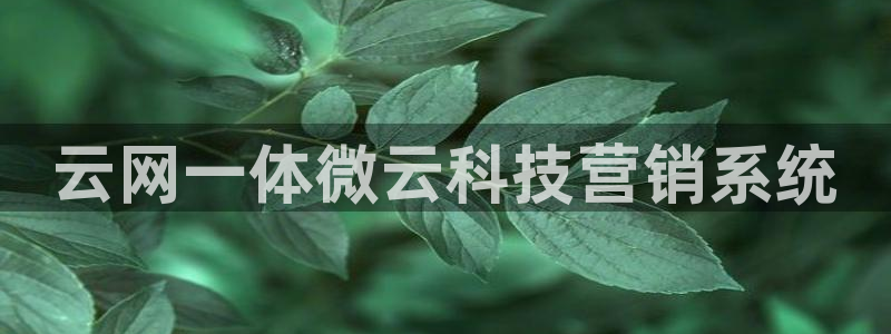 金年会电子游戏app