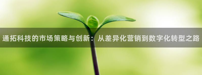 金年会体育app平台怎么样