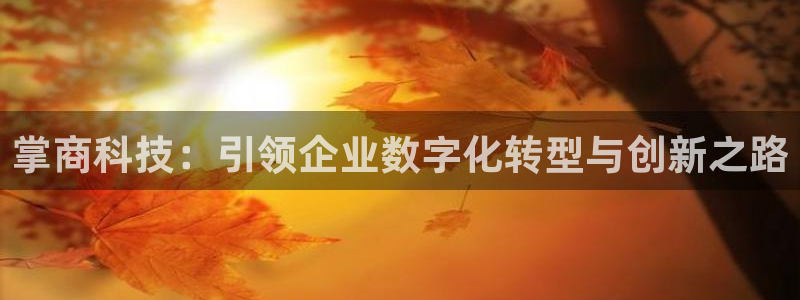 金年会网站入口登录