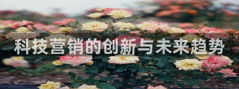 金年会官方体育频道直播