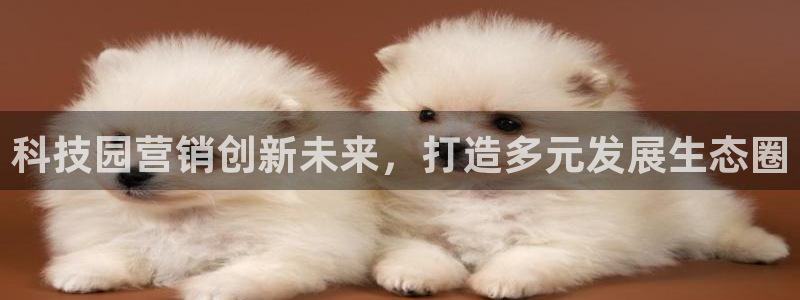 金年会体育app官网86