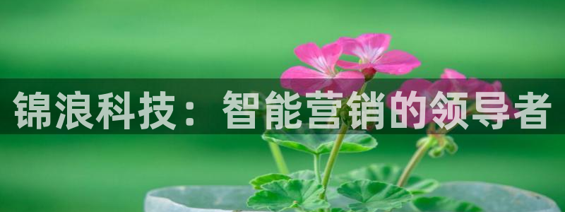 金年会下载软件