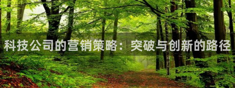 金年会体育官网