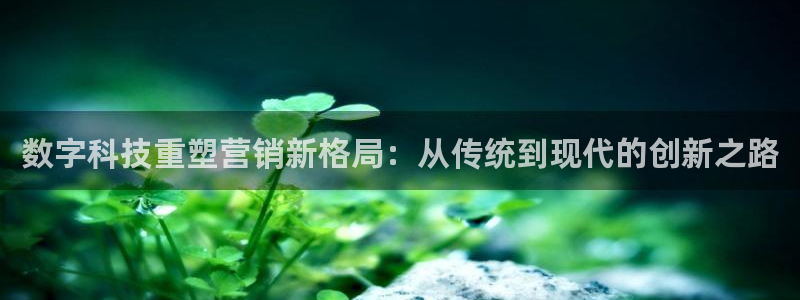 金年会官方网址是什么