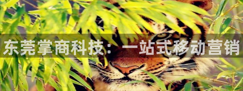 金年会诚信至上