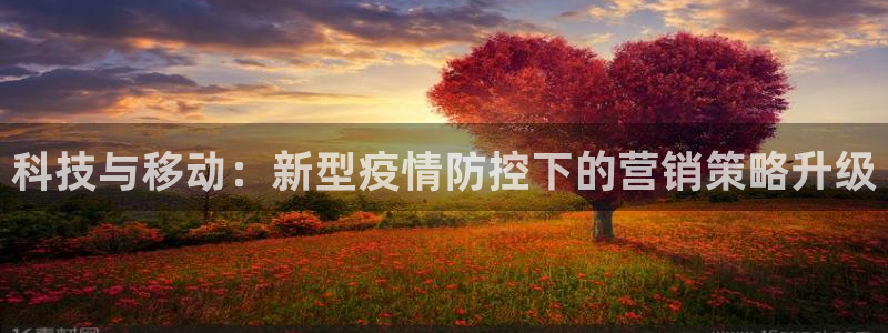 金年会网站提现一直显示审核当中怎么办