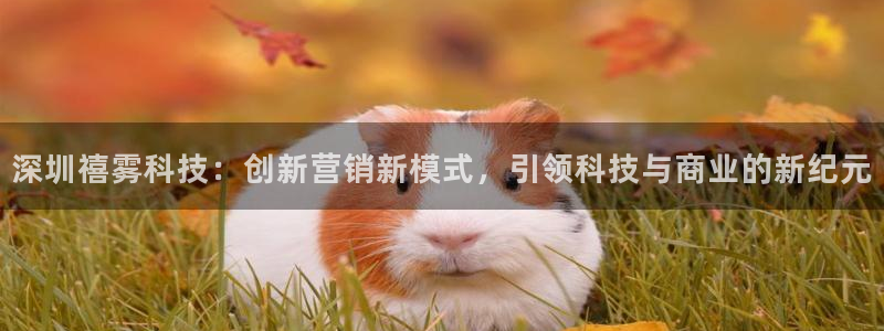 金年会手机网页版官网