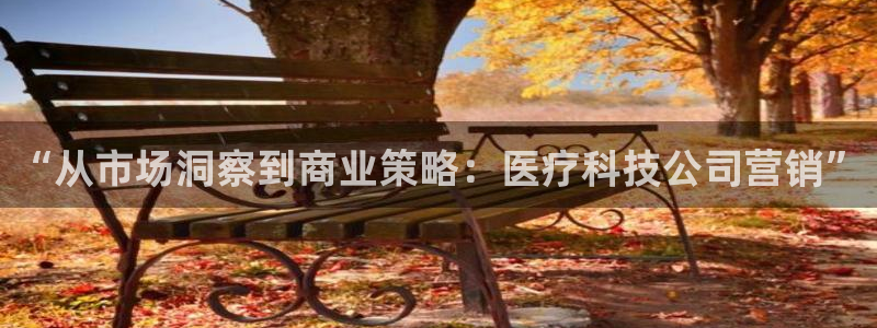 金年会vip网页版在线登录入口下载