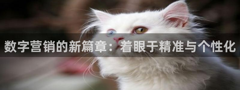 金年会体育app入口