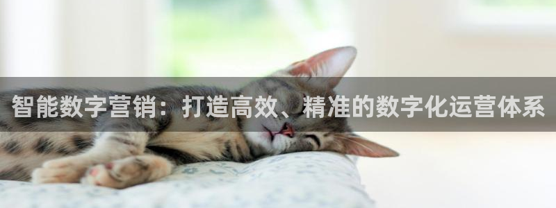 金年会金字招牌网址