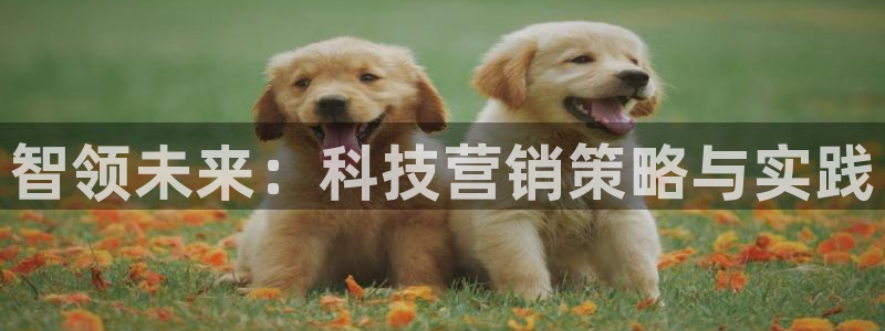 金年会官方平台是什么