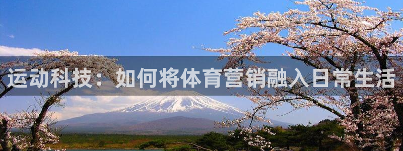 金年会 金字招牌诚信至上下载